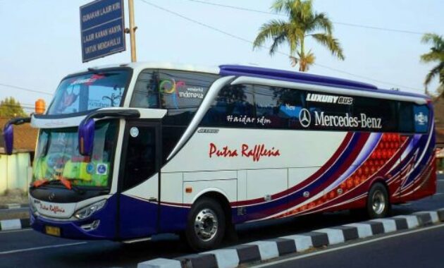 Bus Putra Rafflesia